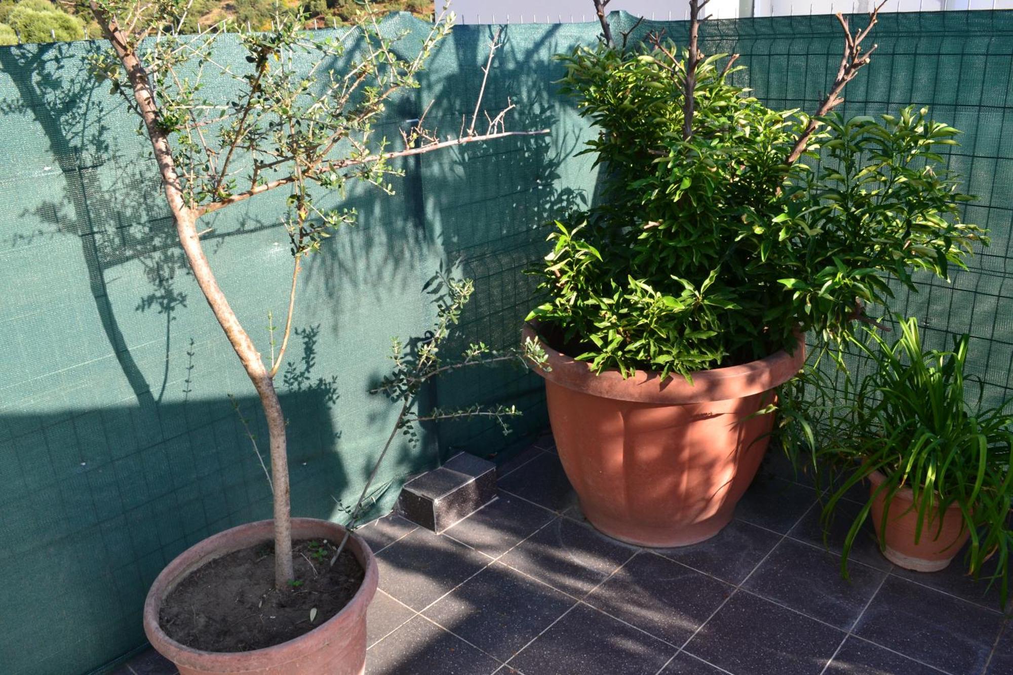 Seaview Penthouse Terrace & Garage Apartment Vlorë Екстериор снимка